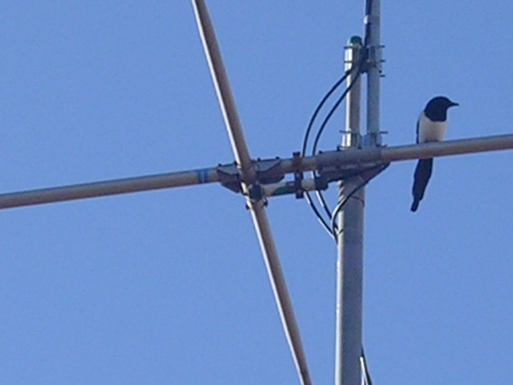 mast antenna hf 20 15 10 m eco antenne